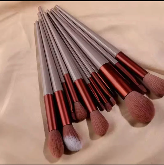 13 Pcs Brush Makeup Kit